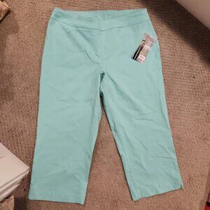 Slim Satin flexible tummy control panel smooths & Slims tummy, thighs & Rear 14